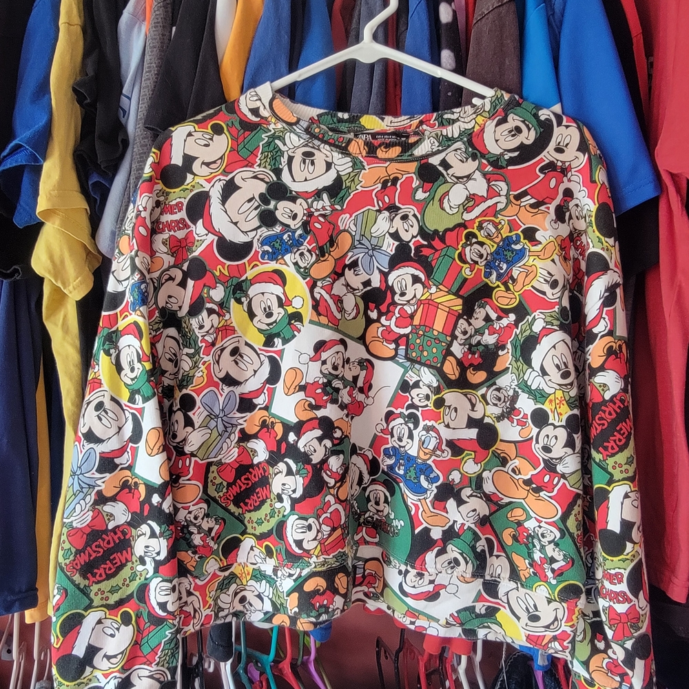 Zara Disney Crop Top